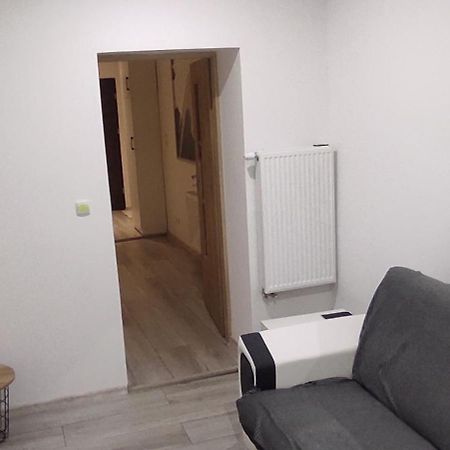 City Center Apartment 45M, 1 Bedroom And 1 Living Room With Kitchen Plus Bathroom, A Perfect Family Friendly Place Or For Home Office And A Longer Stay, A Proper Office Desk With Business Chair Provided, 100M From Market Square And Vistula River Грудзёндз Экстерьер фото